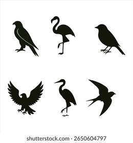 the siluet of birds in my board