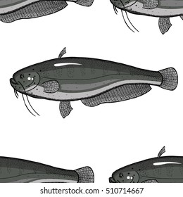 silurus glanis pattern