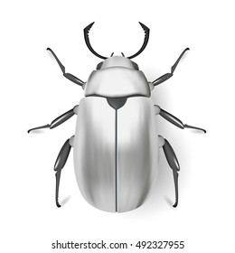 Silver beetle. Insect icon. Pads. Vector. Arthropod