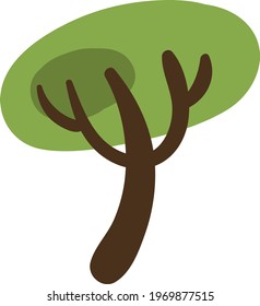 Bétula prateada, ilustração ícone, vetor no fundo branco