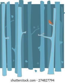 Silver Birch Tree Forest in Winter/Autumn/Fall, Bird in the Tree