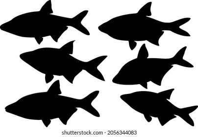 Silver Bream In The Set. Vector Image.