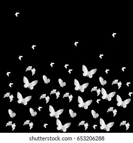 Silver butterfly on black background. Vector illustration.