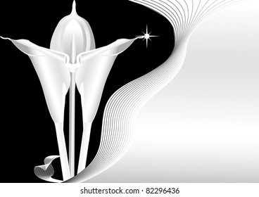 silver calla and silver background