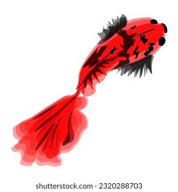 Silver carp, koi fish, goldfish in Japanese traditional style, ink painting
 in the eastern technique of sumi-e, wu-shin, go-hua,
handmade,
 black lines.