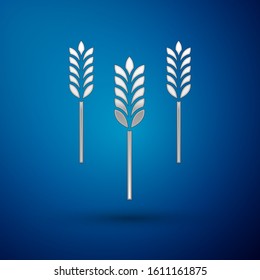 Silver Cereals set with rice, wheat, corn, oats, rye, barley icon isolated on blue background. Ears of wheat bread symbols.  Vector Illustration