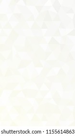 Silver Color polygonal vector illustration. Design for your business. Geometric background.