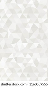 Silver Color polygonal vector illustration. Design for your business. Geometric background.