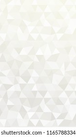 Silver Color polygonal vector illustration. Design for your business. Geometric background.