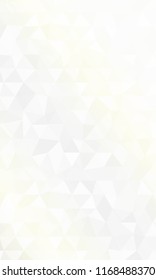 Silver Color polygonal vector illustration. Design for your business. Geometric background.