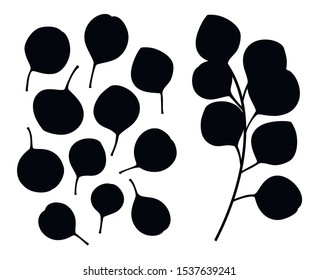 Silver dollar eucalyptus leaf. Eucalyptus branch silhouette. Eucalyptus leaf silhouettes isolated on white background. Vector illustration.