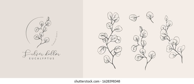 Silver Dollar eucalyptus logo and branch. Hand drawn wedding herb, plant and monogram with elegant leaves for invitation save the date card design. Botanical rustic trendy greenery vector illustration