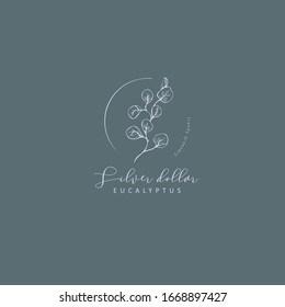 Logo et branche de l'eucalyptus en dollars d'argent. Herbe de mariage dessinée à la main, plante et monogramme avec d'élégantes feuilles pour l'invitation à sauvegarder la conception de la carte de date. Illustration vectorielle botanique rustique et tendance