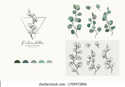 Silver Dollar eucalyptus logo and branch. Hand drawn wedding herb, plant and monogram with elegant leaves for invitation save the date card design. Botanical rustic trendy greenery vector illustration