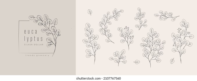 Silver dollar eucalyptus logo and floral branch. Hand drawn wedding herb, plant and monogram with elegant leaves for invitation save the date card design