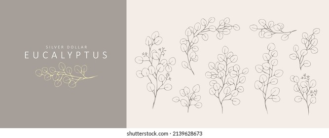 Silver dollar eucalyptus logo and floral branch. Hand drawn wedding herb, plant and monogram with elegant leaves for invitation save the date card design