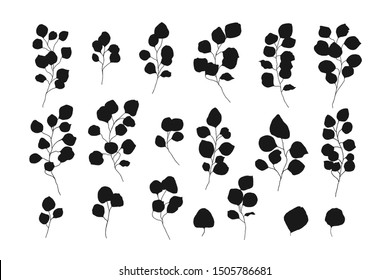 Silver dollar eucalyptus silhouette leaves floral branches vector illustration in simple style. Hand drawn foliage plant rustic botanical for wedding invitation card save the date design