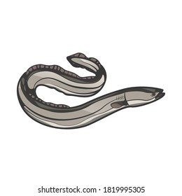 Silver eel vector on white background