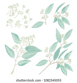 Silver eucaliptus natural branches vector set. Greenery botanical vector 
illustration. Perfect for your design invitation, wedding or greeting cards, patterns and backgrounds, textile, print.