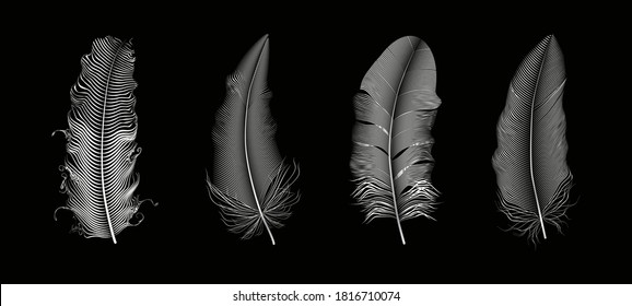  Silver  feathers.Boho style elements,tattoo template.Hippie 
 gold design elements on a black background.Vector illustration.