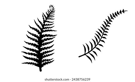 Silver Fern emblem, black isolated silhouette