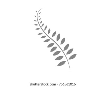 Silver Fern Plant Icon