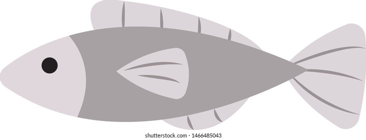 Silberfisch, Illustration, Vektorgrafik auf weißem Hintergrund.