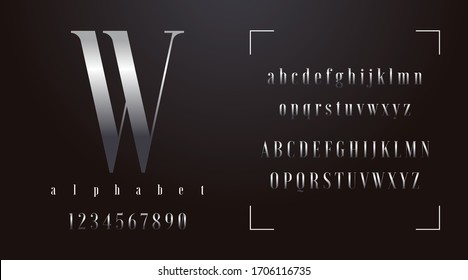 Silver fonts and alphabet, luxury expensive trendy sport minimal classic letters urban royal modern futuristic typeface typo typography and number. Vector illustration.