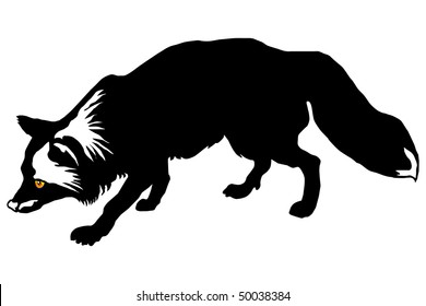 silver fox (Vulpes fulva) silhouette with colour eyes on a white background eps10