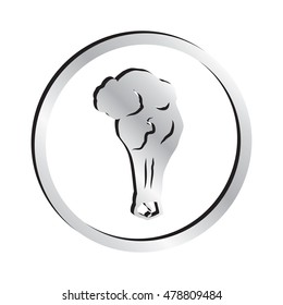 Silver Fried Chicken Wing Icon
