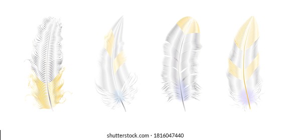  Silver and glitter feathers.Boho Stilelemente,Tattoo-Template.Hippie 
 goldene Designelemente auf schwarzem Hintergrund.Vektorgrafik.