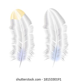 Silver and gold glitter feathers.Boho style elements,tattoo template.Hippie 
 gold design elements on a black background.Vector illustration.