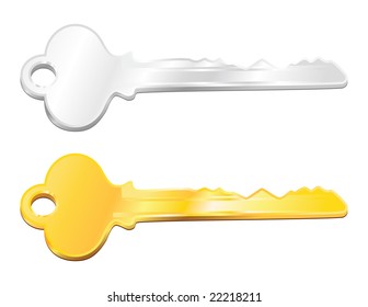 silver and golden key in vector mode
