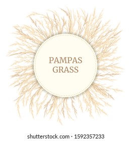 Silver golden Pampas grass Card template with copy space. Vector illustration. Round Circle badge. Floral ornamental grass. feathery prass head plumes, for design arrangements, displays, decoration