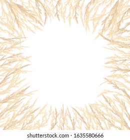 Silver golden Pampas grass Card template Border frame. Place for text, copy space. Vector illustration. Cocept for prints, cards, textile, invitation. Floral ornamental grass