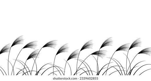 Silver Grass Autumn Fifteen Nights Background