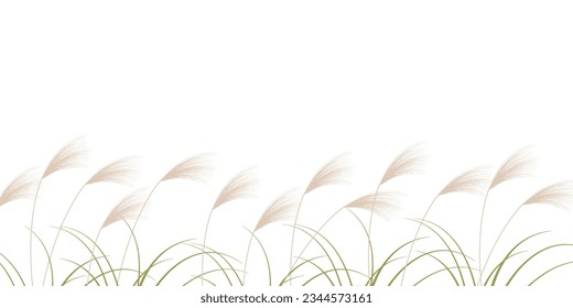 Silver Grass Autumn Fifteen Nights Background