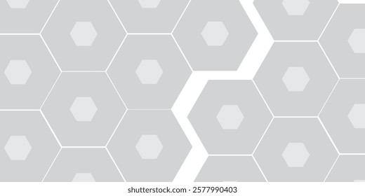 Silver hexagon abtract background. White recycle hexagon cardboard surface art simple
