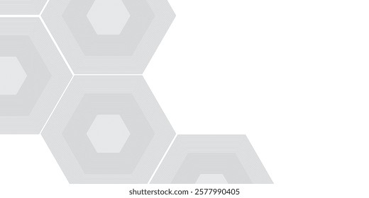 Silver hexagon abtract background. White recycle hexagon cardboard surface art