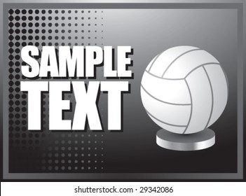 silver horizontal volleyball display