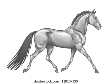 Silver horse