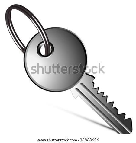 silver key against white background, abstract vector art illustration