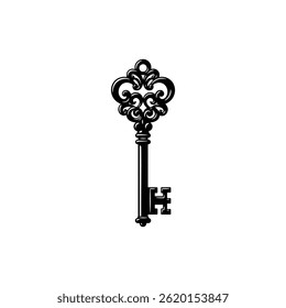 Silver Key with Intricate Details Representing a Magical Gateway
