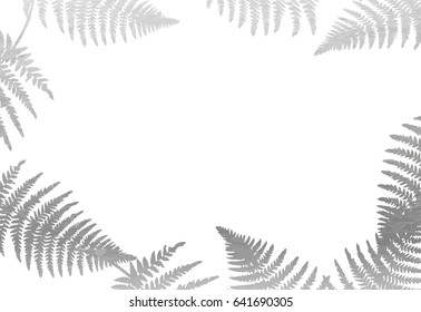 Silver Leaf Frame On White Background. Fern. Vector