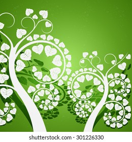 Silver leaf,Buddhist tree on a green background