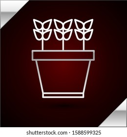 Silver line Plants in pot icon isolated on dark red background. Plants growing in a pot. Potted plant sign.  Vector Illustration