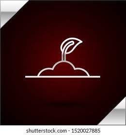Silver line Sprout icon isolated on dark red background. Seed and seedling. Leaves sign. Leaf nature.  Vector Illustration