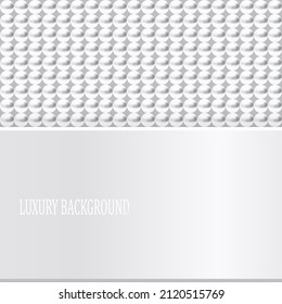 Silver luxury background with beads. Vector illustration.