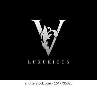 V Name Logo Hd Stock Images Shutterstock