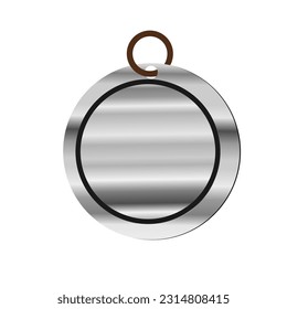 silver medal for the winner